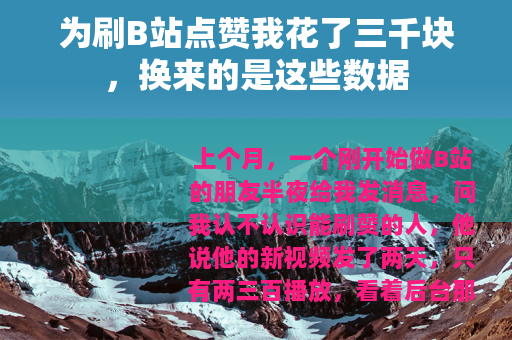 为刷B站点赞我花了三千块，换来的是这些数据
