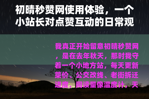 初晴秒赞网使用体验，一个小站长对点赞互动的日常观察