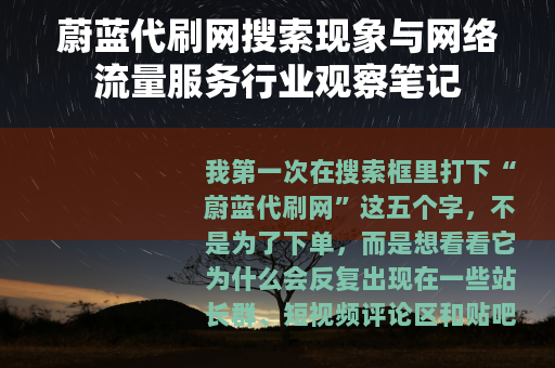 蔚蓝代刷网搜索现象与网络流量服务行业观察笔记