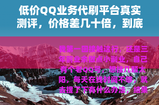 低价QQ业务代刷平台真实测评，价格差几十倍，到底怎么选