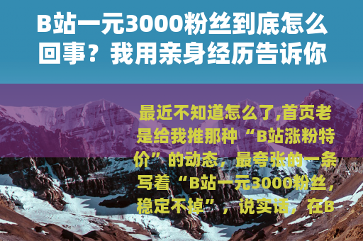 B站一元3000粉丝到底怎么回事？我用亲身经历告诉你