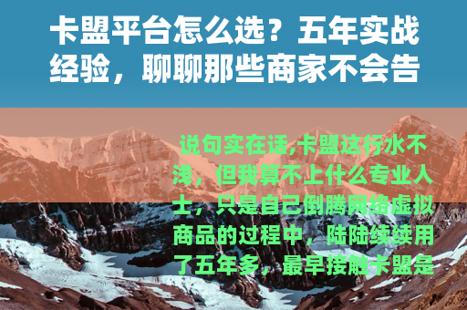 卡盟平台怎么选？五年实战经验，聊聊那些商家不会告诉你的细节