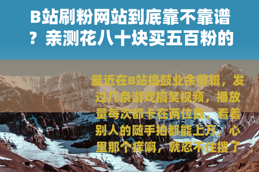 B站刷粉网站到底靠不靠谱？亲测花八十块买五百粉的全经历