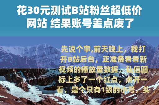 花30元测试B站粉丝超低价网站 结果账号差点废了