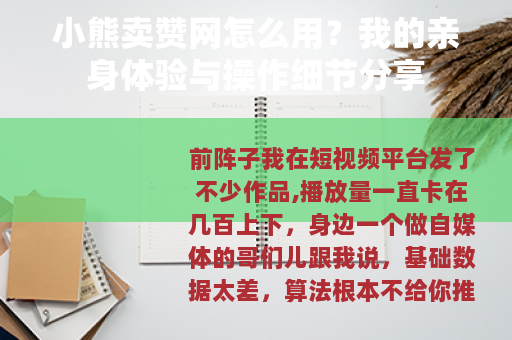 小熊卖赞网怎么用？我的亲身体验与操作细节分享