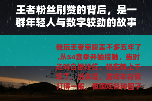 王者粉丝刷赞的背后，是一群年轻人与数字较劲的故事