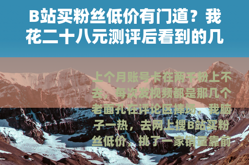 B站买粉丝低价有门道？我花二十八元测评后看到的几个结果