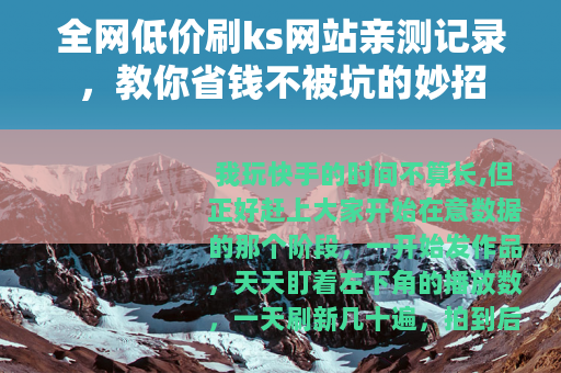 全网低价刷ks网站亲测记录,教你省钱不被坑的妙招 全网低价刷ks网站亲测记录,教你省钱不被坑的妙招