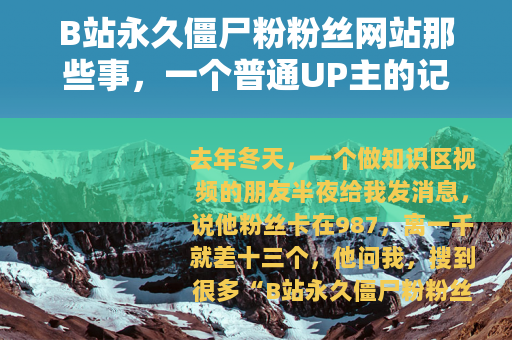 B站永久僵尸粉粉丝网站那些事，一个普通UP主的记录