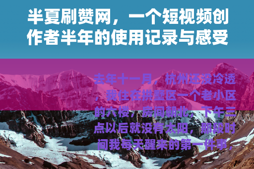 半夏刷赞网，一个短视频创作者半年的使用记录与感受