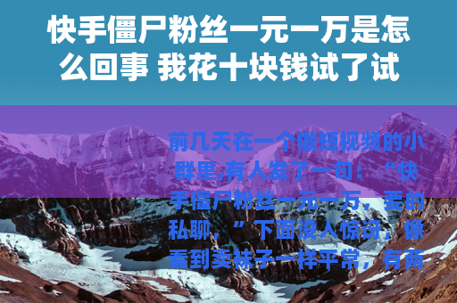 快手僵尸粉丝一元一万是怎么回事 我花十块钱试了试