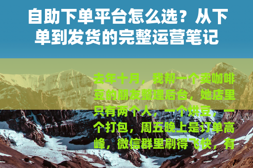 自助下单平台怎么选？从下单到发货的完整运营笔记