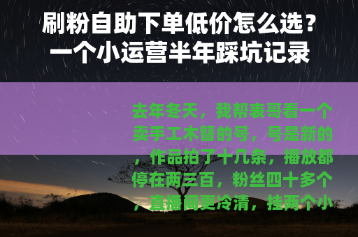 刷粉自助下单低价怎么选？一个小运营半年踩坑记录