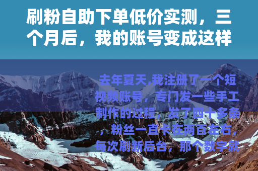刷粉自助下单低价实测，三个月后，我的账号变成这样