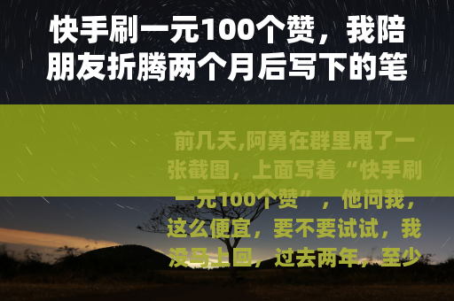 快手刷一元100个赞，我陪朋友折腾两个月后写下的笔记