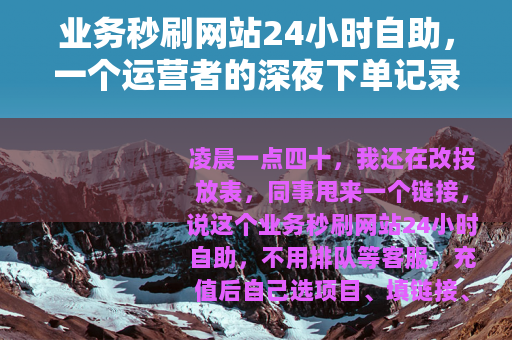 业务秒刷网站24小时自助，一个运营者的深夜下单记录