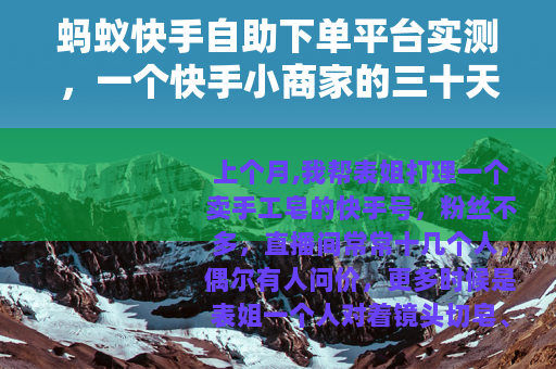 蚂蚁快手自助下单平台实测，一个快手小商家的三十天记录