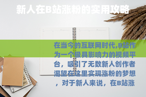 新人在B站涨粉的实用攻略