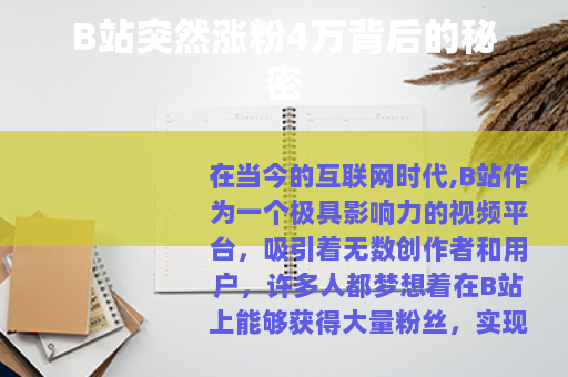 B站突然涨粉4万背后的秘密