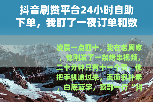 抖音刷赞平台24小时自助下单，我盯了一夜订单和数字变化
