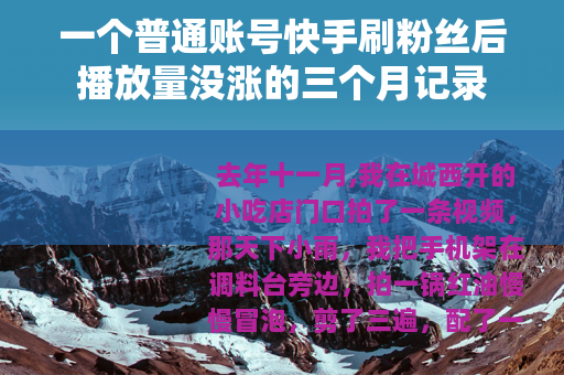 一个普通账号快手刷粉丝后播放量没涨的三个月记录