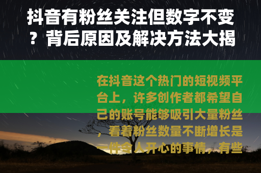 抖音有粉丝关注但数字不变？背后原因及解决方法大揭秘