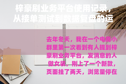 梓豪刷业务平台使用记录，从接单测试到数据复盘的运营笔记