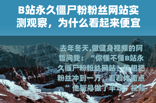 B站永久僵尸粉粉丝网站实测观察，为什么看起来便宜却没人敢用