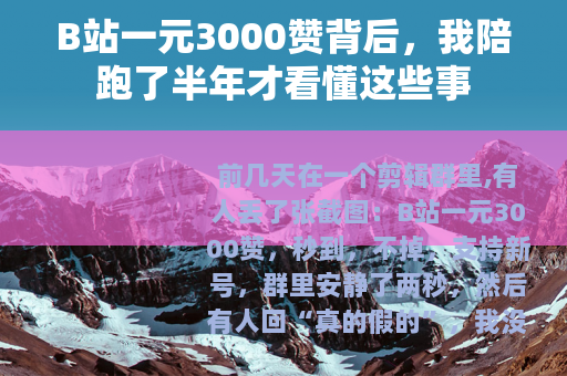 B站一元3000赞背后，我陪跑了半年才看懂这些事