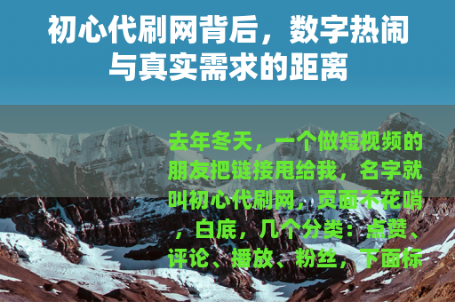 初心代刷网背后，数字热闹与真实需求的距离