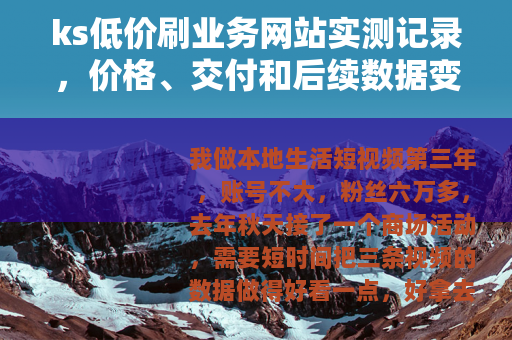 ks低价刷业务网站实测记录，价格、交付和后续数据变化