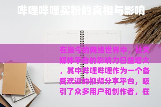 哔哩哔哩买粉的真相与影响