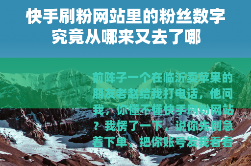 快手刷粉网站里的粉丝数字究竟从哪来又去了哪