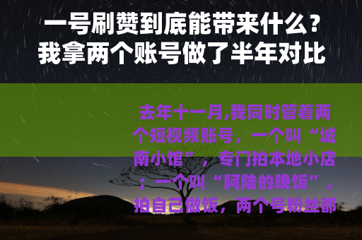 一号刷赞到底能带来什么？我拿两个账号做了半年对比