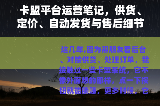 卡盟平台运营笔记，供货、定价、自动发货与售后细节