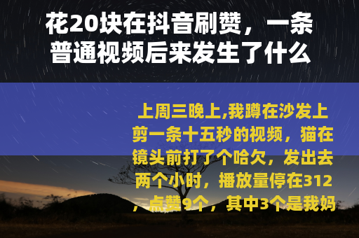 花20块在抖音刷赞，一条普通视频后来发生了什么