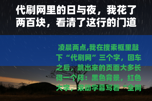代刷网里的日与夜，我花了两百块，看清了这行的门道