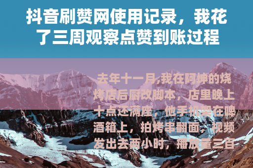 抖音刷赞网使用记录，我花了三周观察点赞到账过程