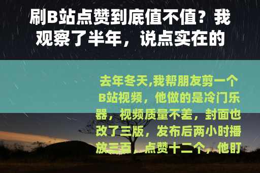 刷B站点赞到底值不值？我观察了半年，说点实在的