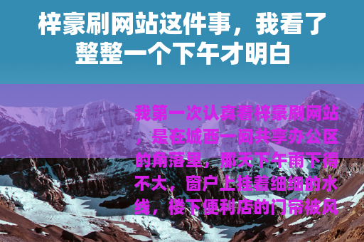 梓豪刷网站这件事，我看了整整一个下午才明白