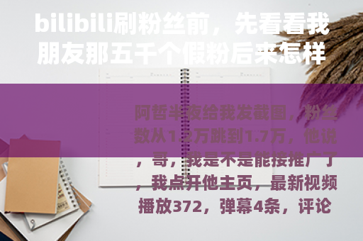 bilibili刷粉丝前，先看看我朋友那五千个假粉后来怎样了