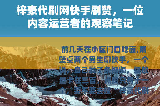 梓豪代刷网快手刷赞，一位内容运营者的观察笔记