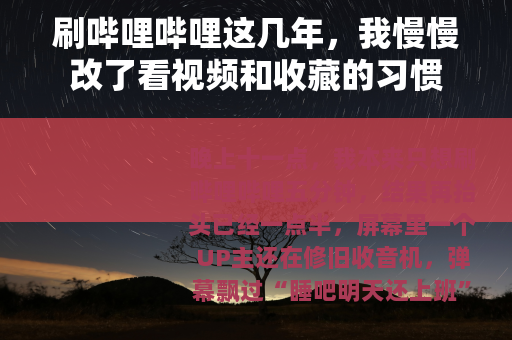 刷哔哩哔哩这几年，我慢慢改了看视频和收藏的习惯
