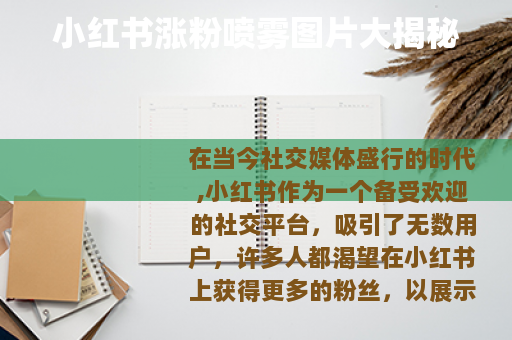 小红书涨粉喷雾图片大揭秘