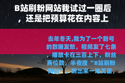 B站刷粉网站我试过一圈后，还是把预算花在内容上