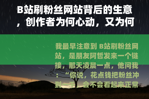 B站刷粉丝网站背后的生意，创作者为何心动，又为何收手