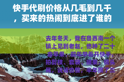 快手代刷价格从几毛到几千，买来的热闹到底进了谁的口袋