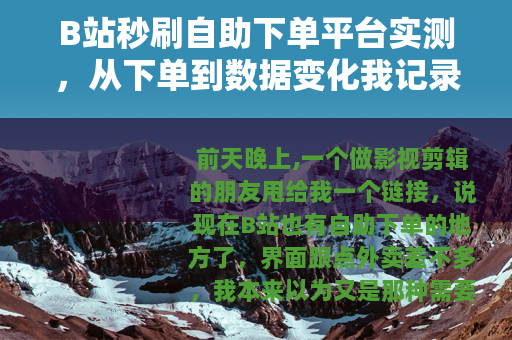 B站秒刷自助下单平台实测，从下单到数据变化我记录了什么