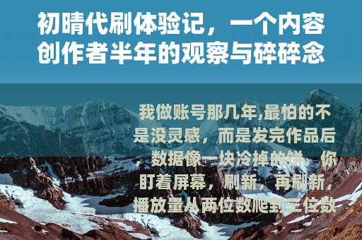 初晴代刷体验记，一个内容创作者半年的观察与碎碎念