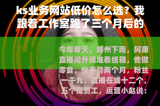 ks业务网站低价怎么选？我跟着工作室跑了三个月后的记录